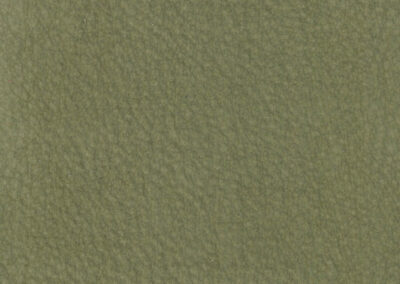 Pacific Khaki Green PAC-13